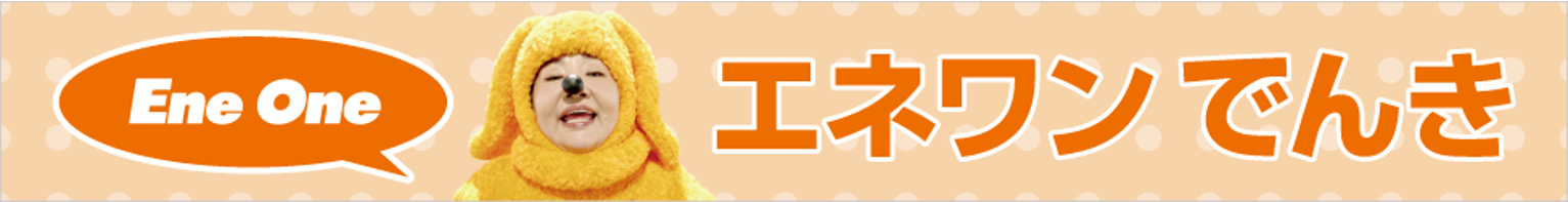 エネワンでんき